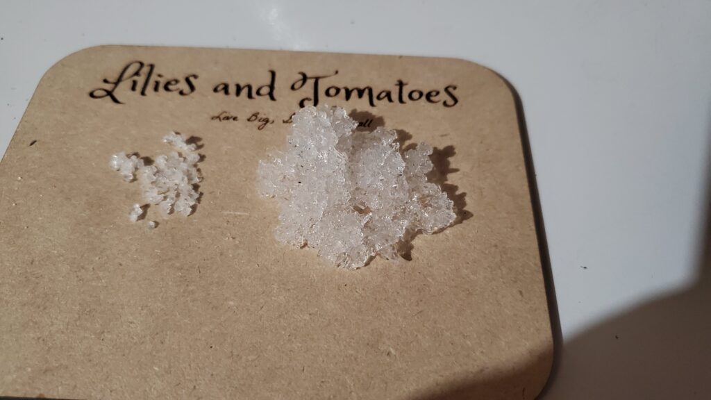 Moisture crystals | Lilies and Tomatoes